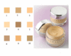 CHANTECAILLE Future Skin Foundation 粉凝霜 30g